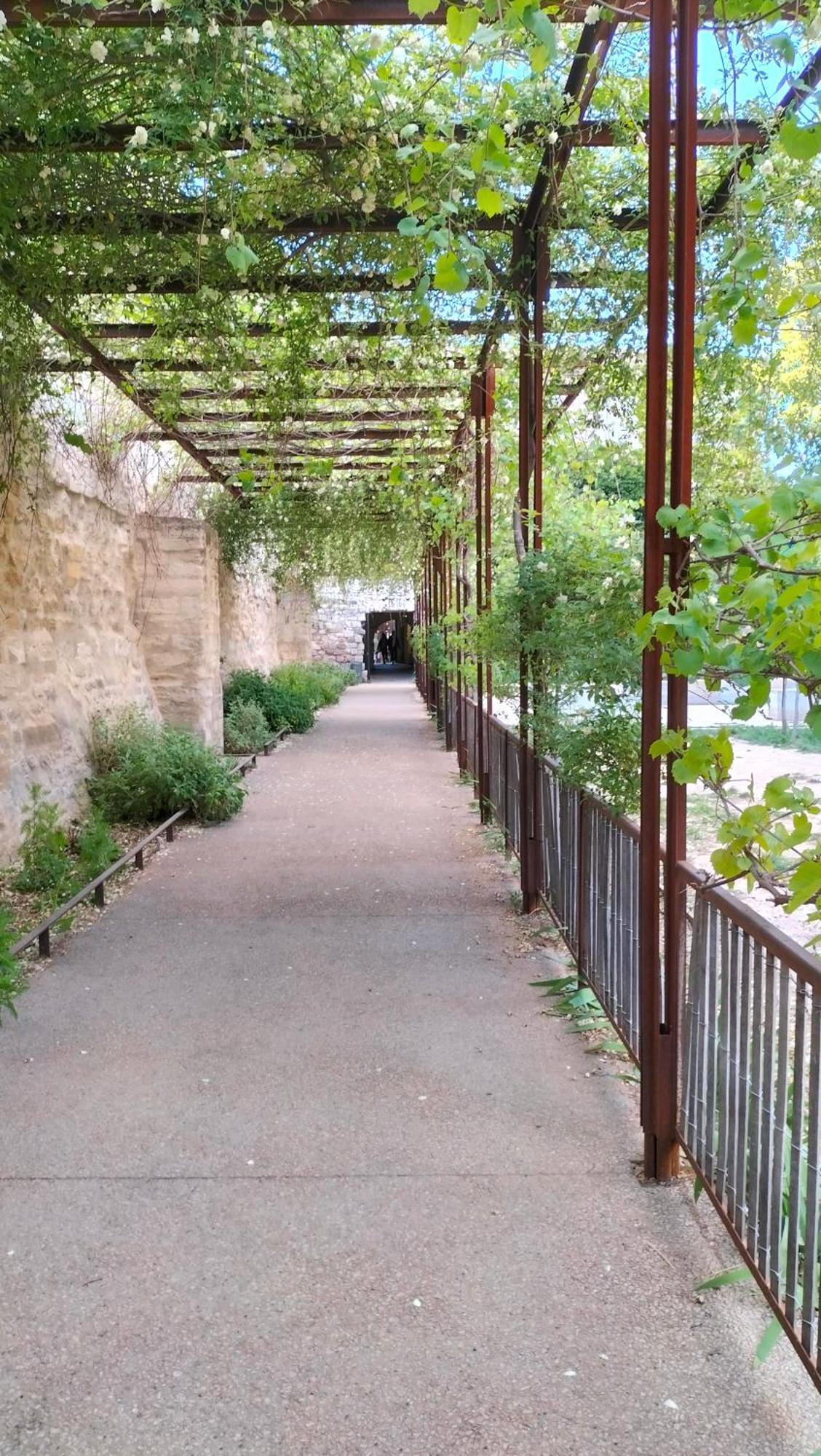 Studio Terrasse, Intra-Muros, Climatise Avec Wifi Avignon Extérieur photo